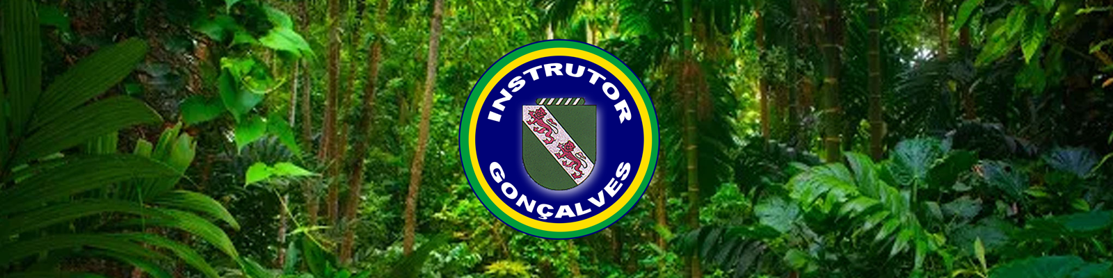 Cabeçalho do portal Instrutor Gonçalves